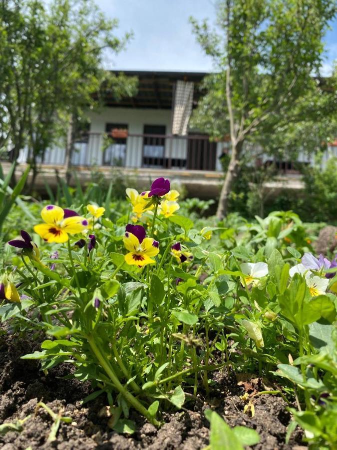 Green Agarak Guest House Near Dendropark, Stepanavan Gyulagarak Екстериор снимка